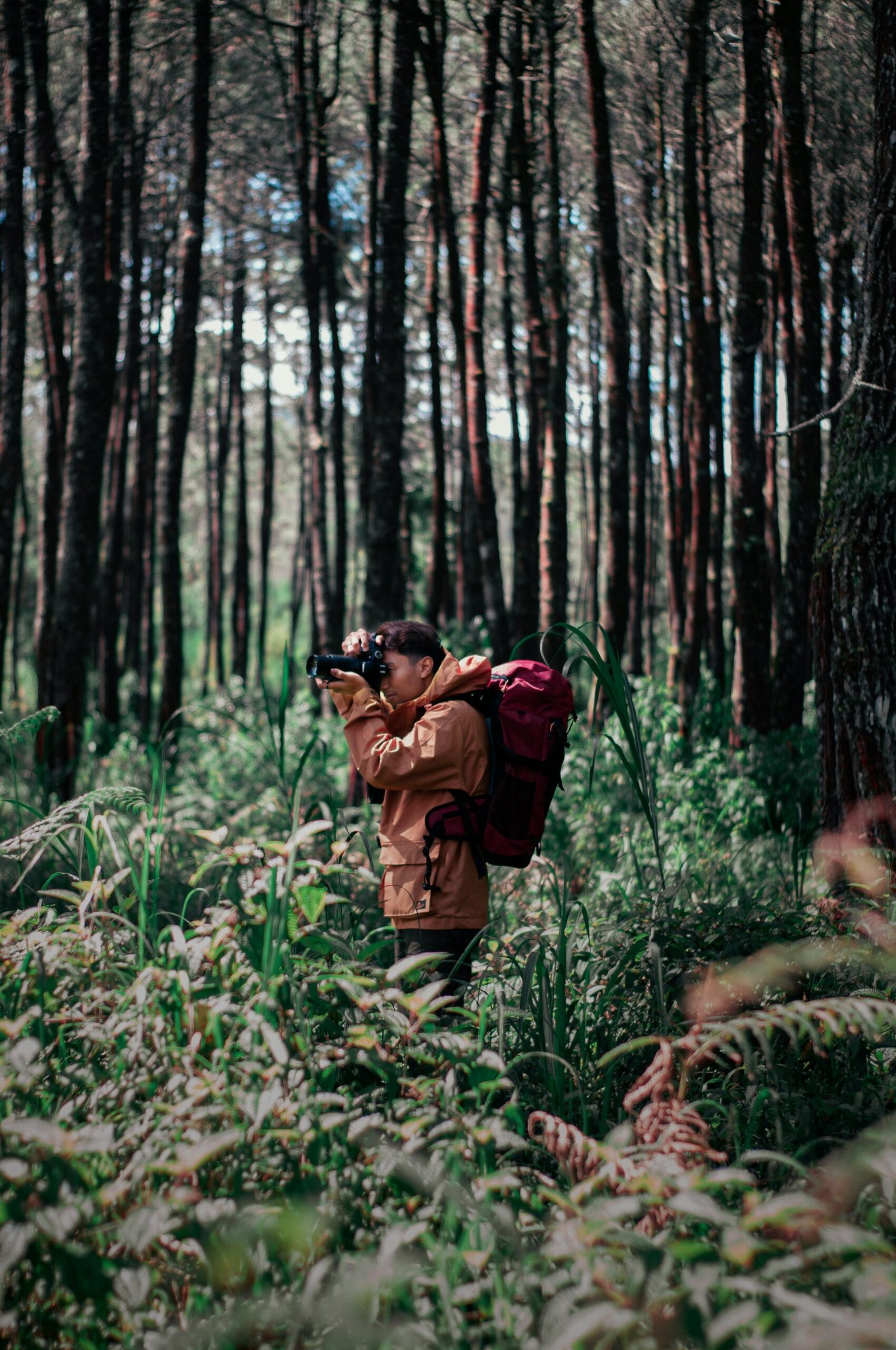 Man with backpack taking photos in a lush, green forest setting.